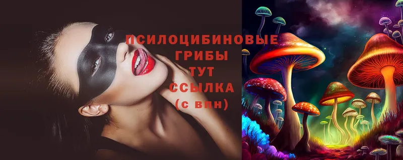 купить закладку  Кодинск  Галлюциногенные грибы Cubensis 